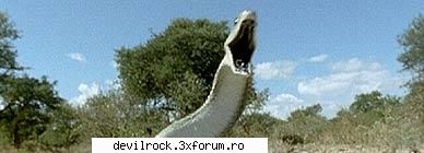 mamba negru

ca toate reptilele, mamba negru este un animal cu sÃ¢nge rece, care se pe pentru